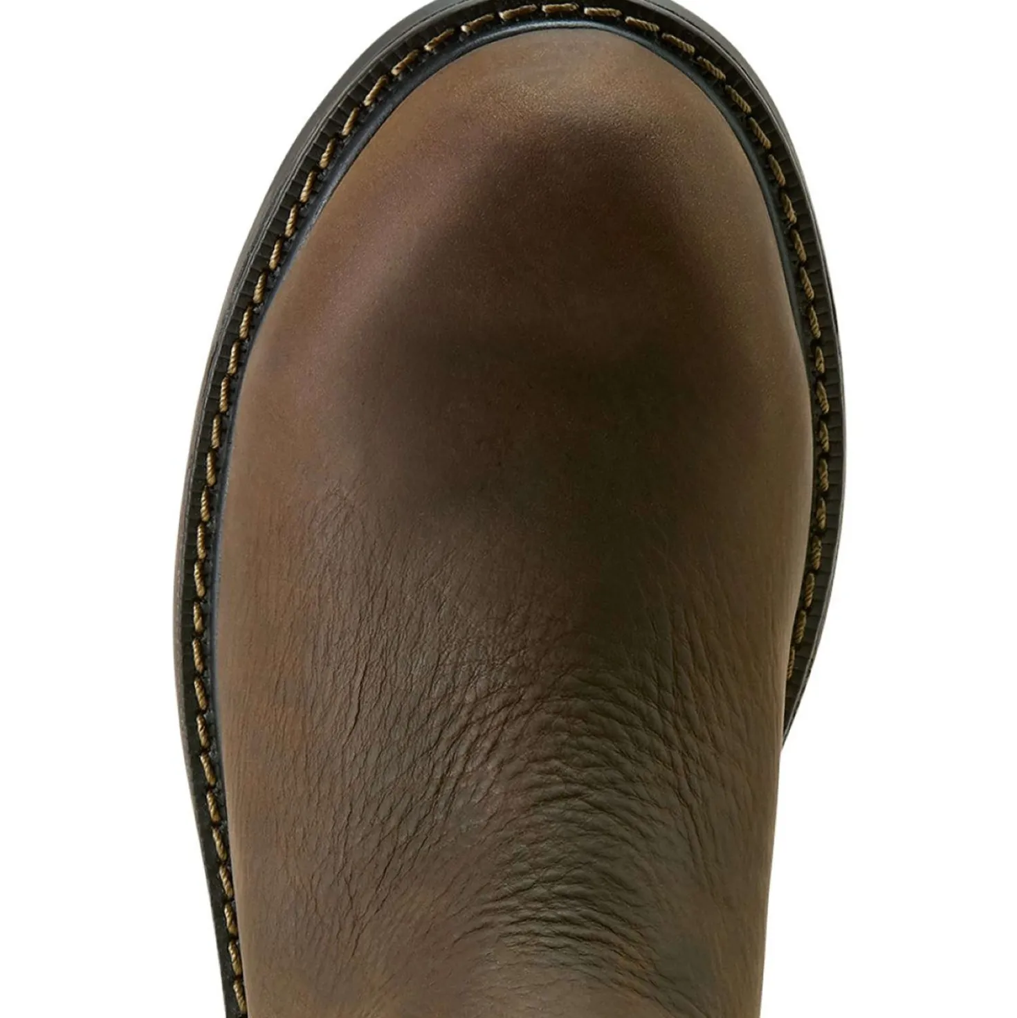 Ariat Jodhpurs Riverter Chelsea H20 Dames Donkerbruin