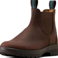 Ariat Jodphurs Cooper Dames Brunette
