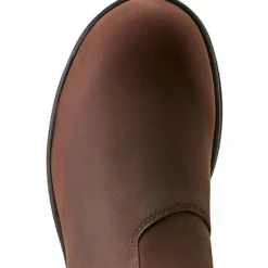 Ariat Jodphurs Cooper Dames Brunette