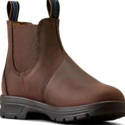 Ariat Jodphurs Cooper Dames Brunette