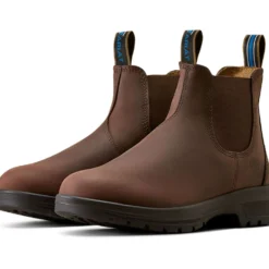Ariat Jodphurs Cooper Dames Brunette