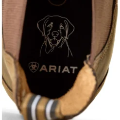 Ariat Jodphurs Cooper Heren Distressed Tan