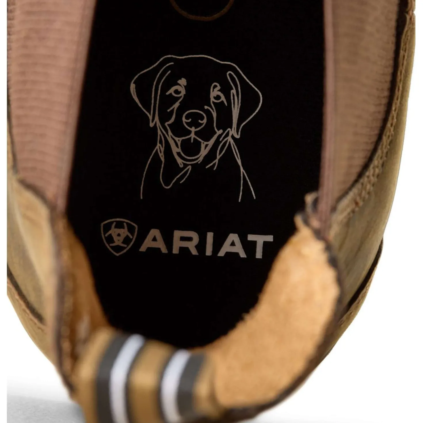 Ariat Jodphurs Cooper Heren Distressed Tan