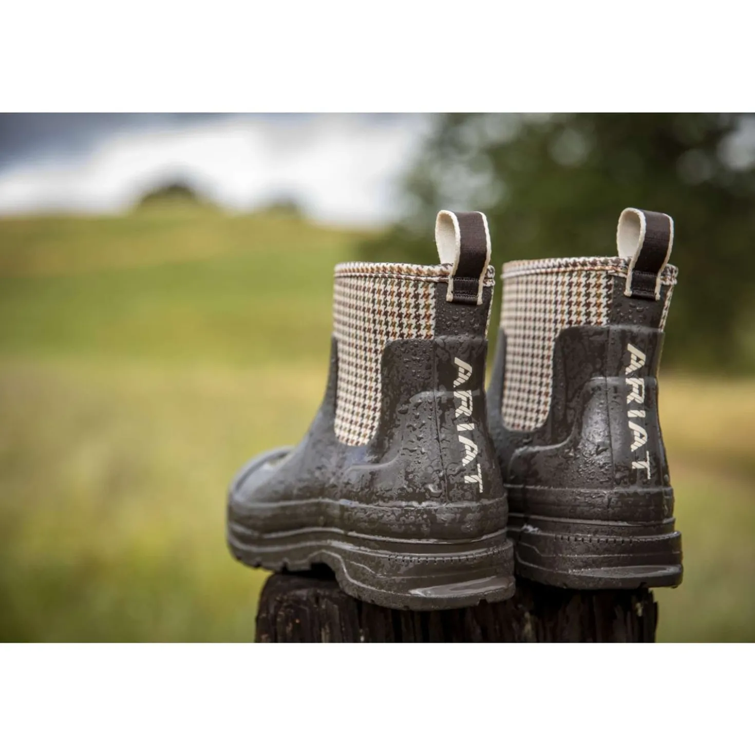Ariat Jodphurs Kelmarsh Shortie Dames Chocolate/Tan Twill