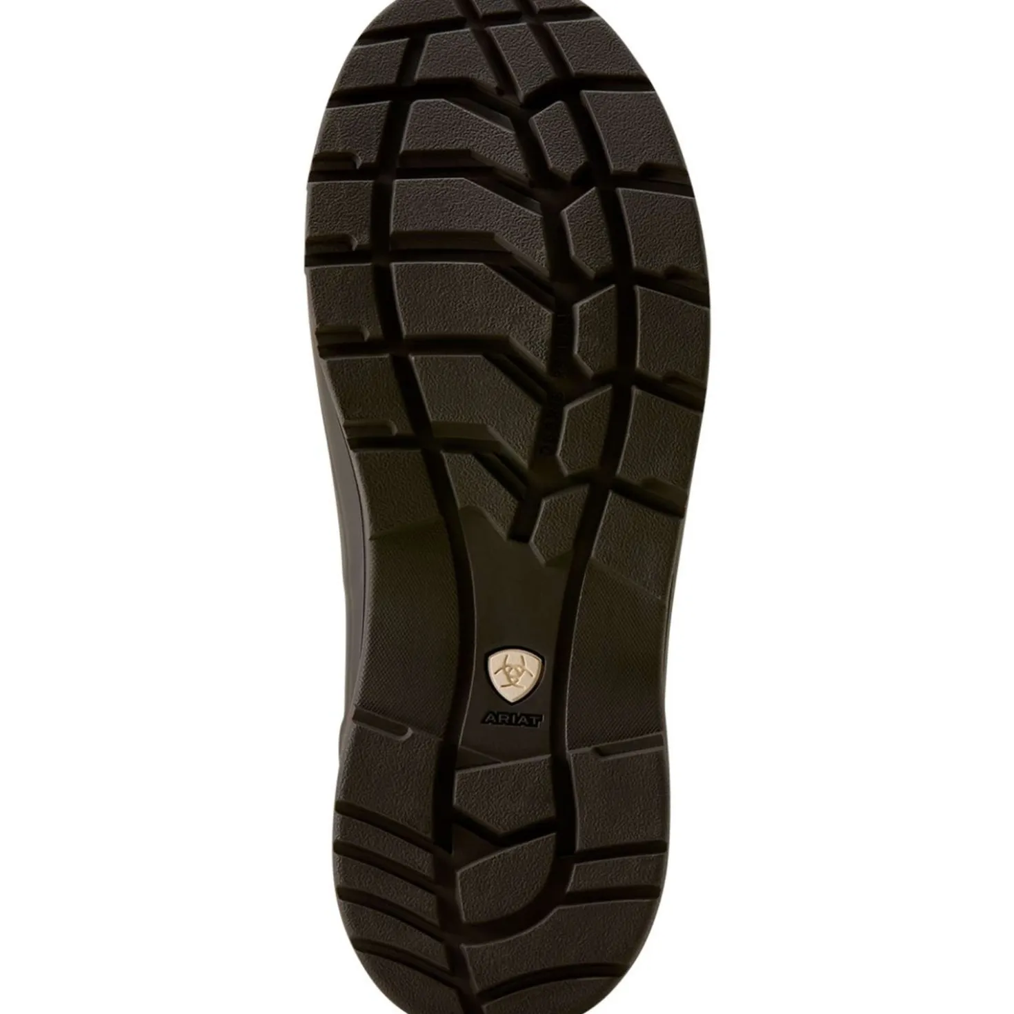 Ariat Jodphurs Kelmarsh Shortie Dames Chocolate/Tan Twill