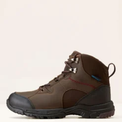 Ariat Outdoorschoenen Skyline Mid Waterproof Dames Chocolate Brown