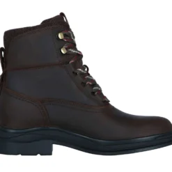 Ariat Stalschoenen Harper Waterproof Dames Chocolat/Willow
