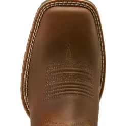 Ariat Westernlaarzen Hybrid Ranchwork Venttek Dames Distressed Brown/Crema