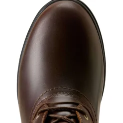 Ariat Winter Rijlaarzen Wythburn H2O Dames Tabacco Brown