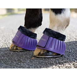 Arma by Shires Springschoen Zwart Fleece Purple