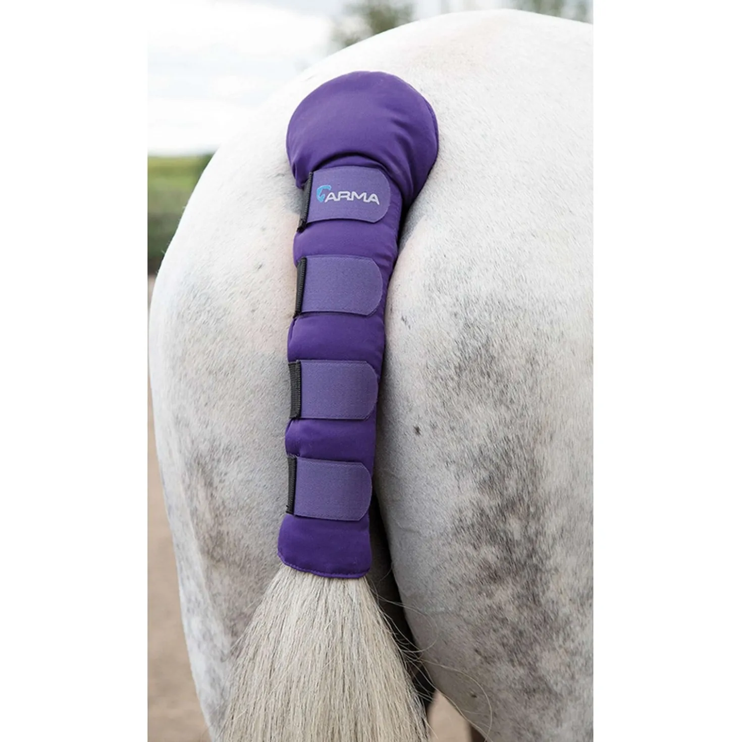 Arma by Shires Staartbeschermer Purple