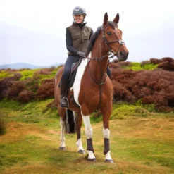 Aubrion by Shires Bodywarmer Heritage Fleece Donker Olijf