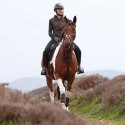 Aubrion by Shires Bodywarmer Heritage Fleece Donker Olijf