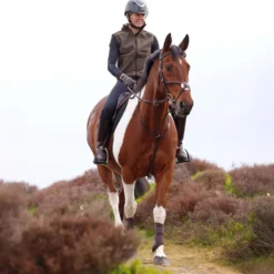 Aubrion by Shires Bodywarmer Heritage Fleece Donker Olijf