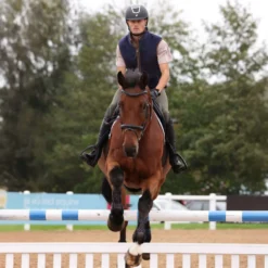 Aubrion by Shires Bodywarmer Original Fleece Heren Navy