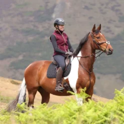 Aubrion by Shires Bodywarmer Original Fleece Maroon