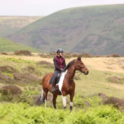 Aubrion by Shires Bodywarmer Original Fleece Maroon