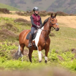 Aubrion by Shires Bodywarmer Original Fleece Maroon