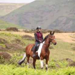 Aubrion by Shires Bodywarmer Original Fleece Maroon