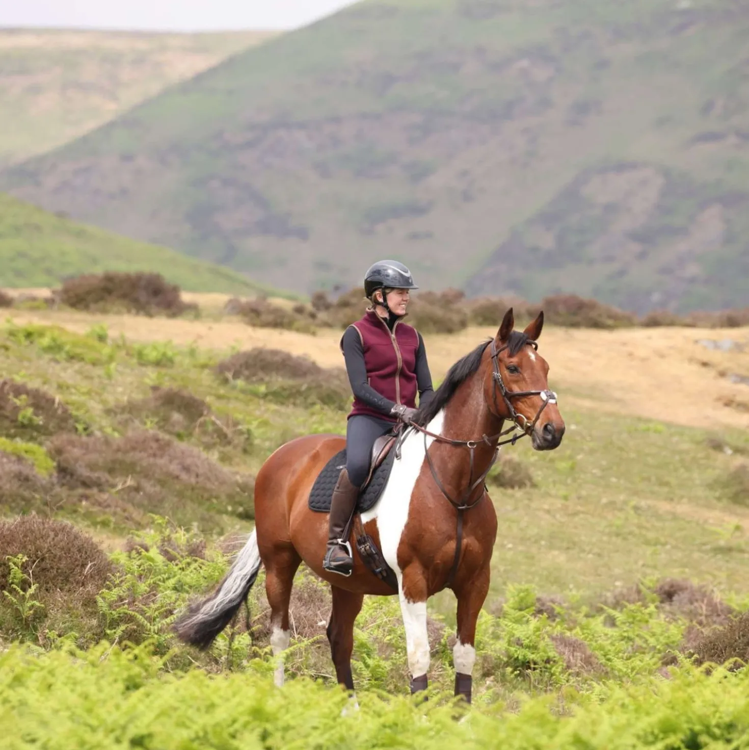 Aubrion by Shires Bodywarmer Original Fleece Maroon