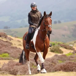 Aubrion by Shires Bodywarmer Heritage Donker Olijf