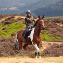 Aubrion by Shires Bodywarmer Heritage Donker Olijf