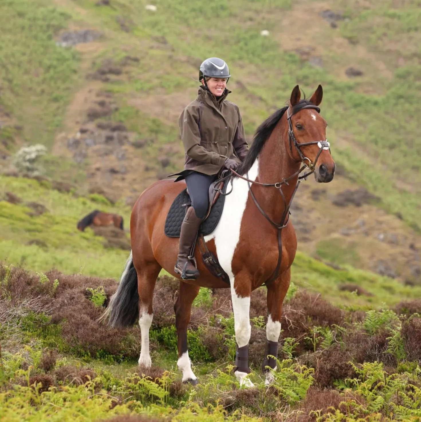 Aubrion by Shires Jas Heritage Donker Olijf