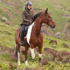Aubrion by Shires Jas Heritage Donker Olijf