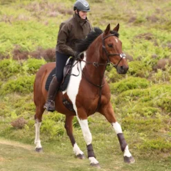 Aubrion by Shires Pullover Heritage Donker Olijf