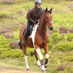 Aubrion by Shires Pullover Heritage Donker Olijf