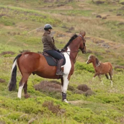 Aubrion by Shires Trui Heritage Fleece Donker Olijf