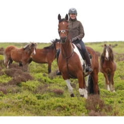Aubrion by Shires Trui Heritage Fleece Donker Olijf