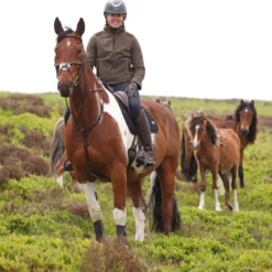 Aubrion by Shires Trui Heritage Fleece Donker Olijf