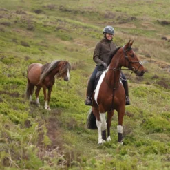 Aubrion by Shires Trui Heritage Fleece Donker Olijf