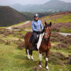 Aubrion by Shires Trui Original Fleece Blauw