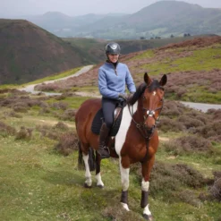 Aubrion by Shires Trui Original Fleece Blauw