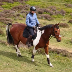 Aubrion by Shires Trui Original Fleece Blauw
