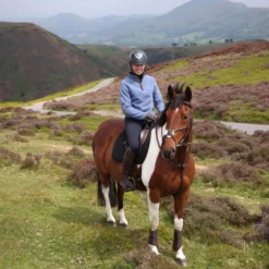 Aubrion by Shires Trui Original Fleece Blauw