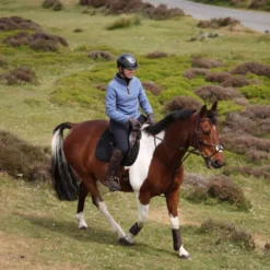 Aubrion by Shires Trui Original Fleece Blauw