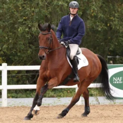 Aubrion by Shires Trui Original Fleece Heren Navy