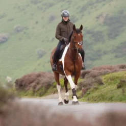 Aubrion by Shires Vest Heritage Fleece Donker Olijf