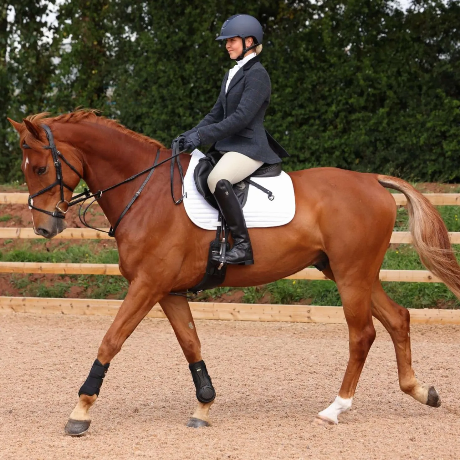 Aubrion by Shires Wedstrijdjasje Saratoga Juniper Navy Check