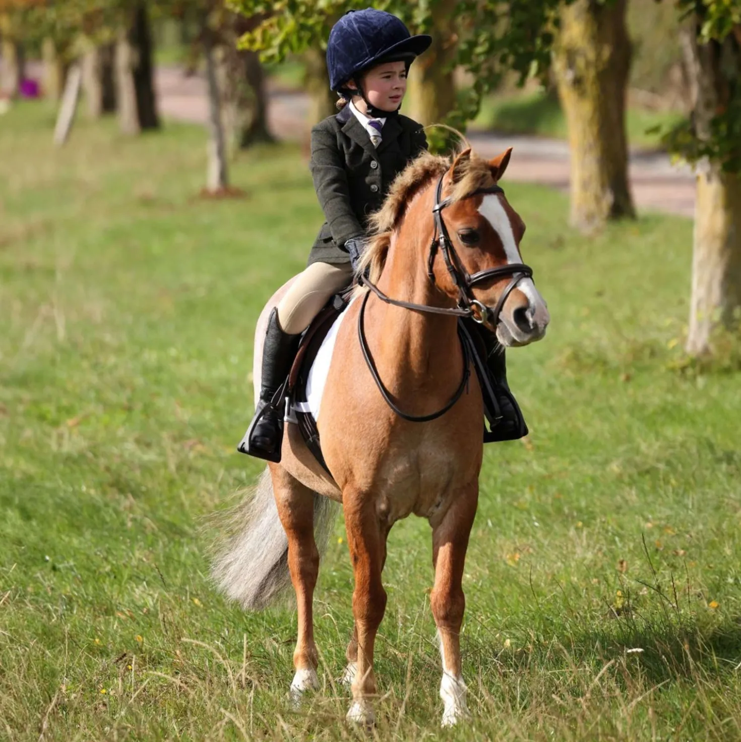Aubrion by Shires Wedstrijdjasje Saratoga Kinderen Donker Groen Check