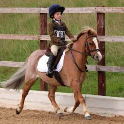 Aubrion by Shires Wedstrijdjasje Saratoga Kinderen Roest Check