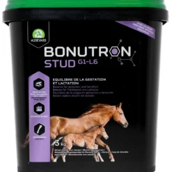 Audevard Bonutron Stud