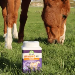 Audevard Immuno RS