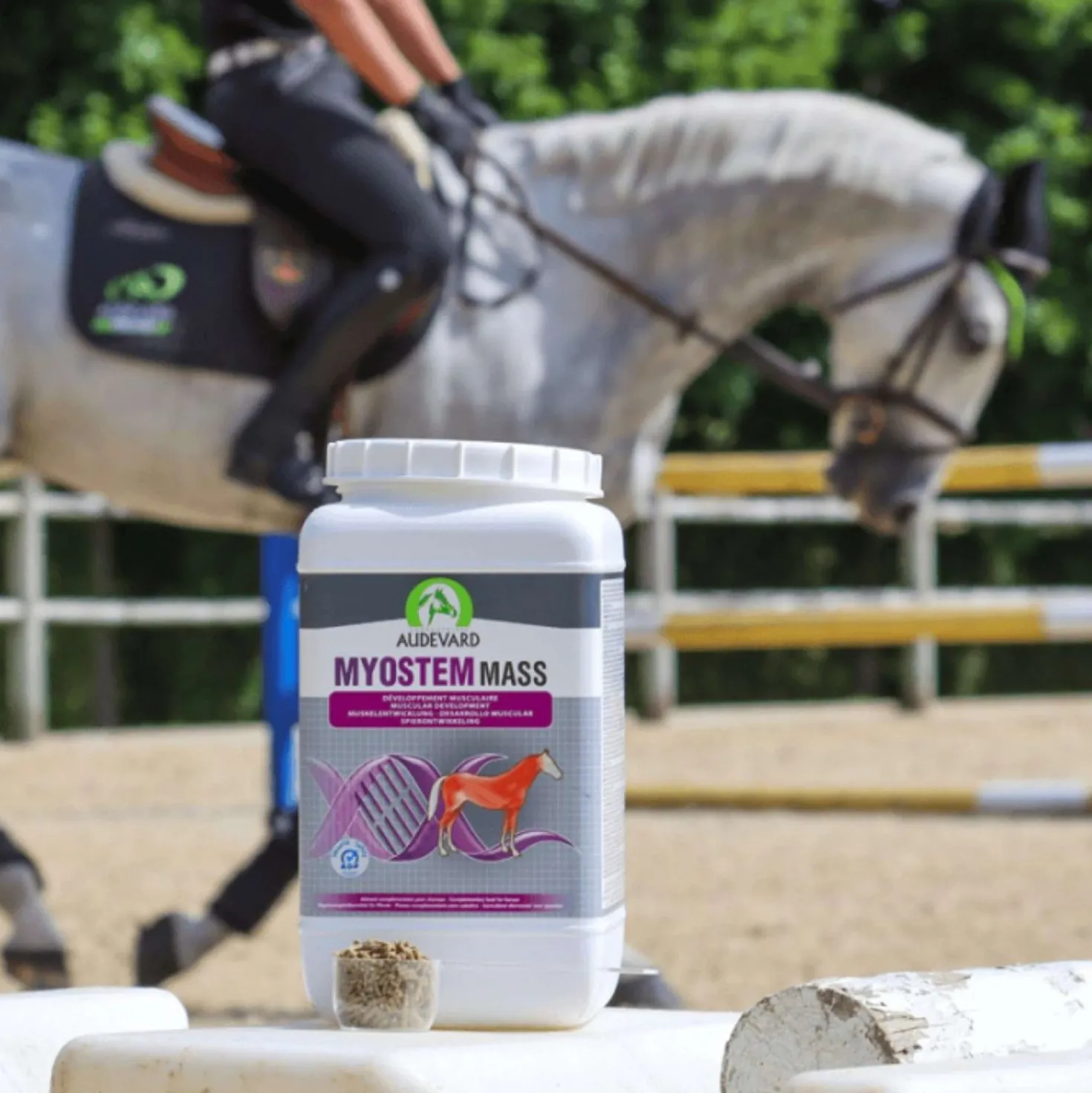 Audevard Myostem Mass