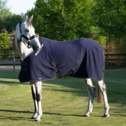 Back On Track Cooler Quick Blauw