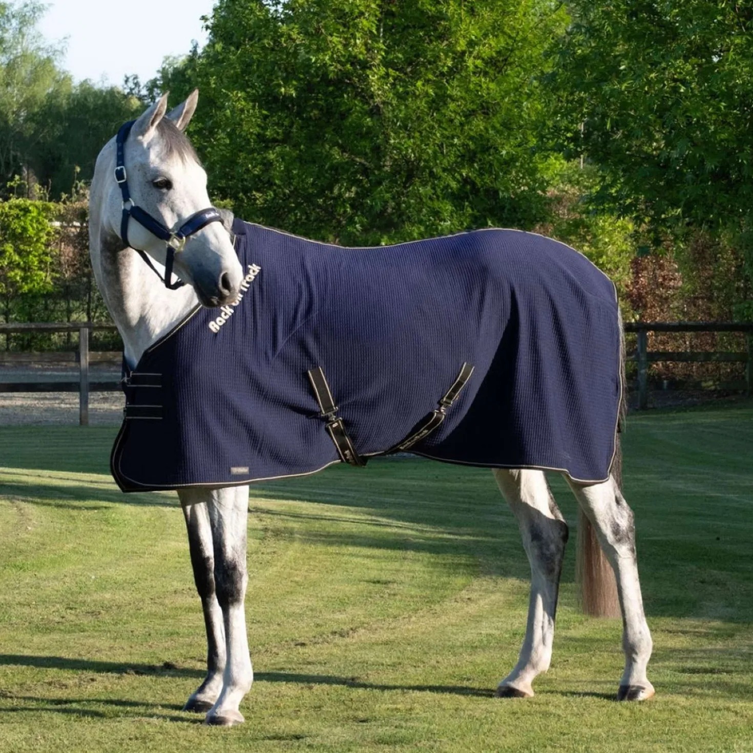Back On Track Cooler Quick Blauw