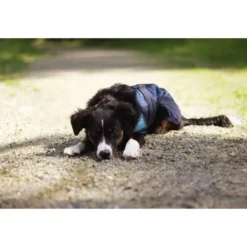 Back on Track Cooling Rug Blauw
